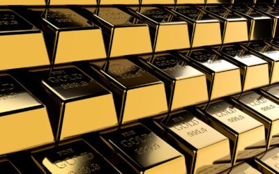 Polens Goldhunger: Was hinter dem Hype steckt